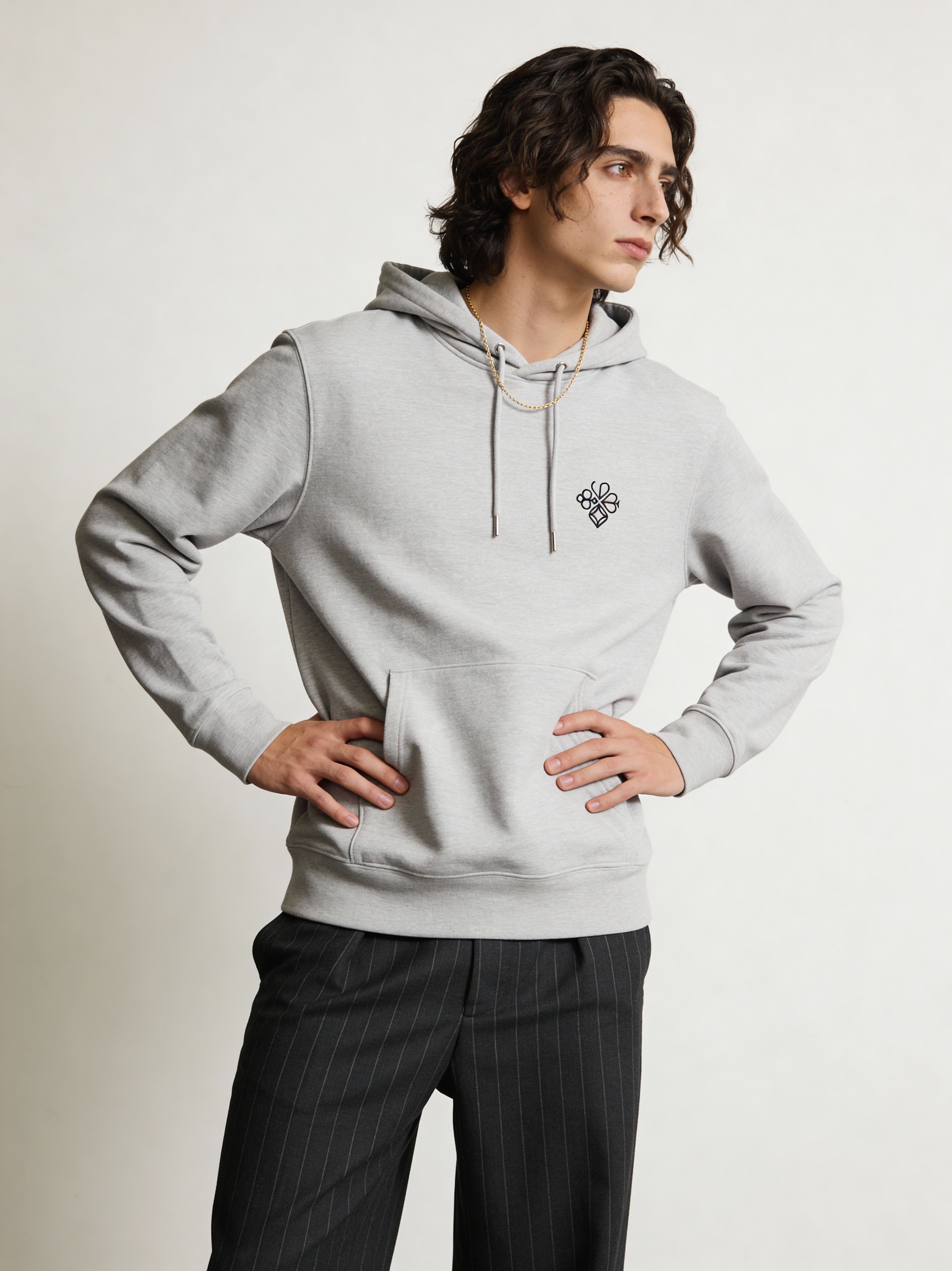 Hoodie — Anonymous but iconic